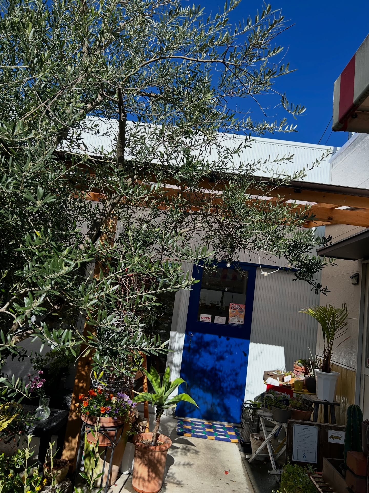 ゴーマルカフェ