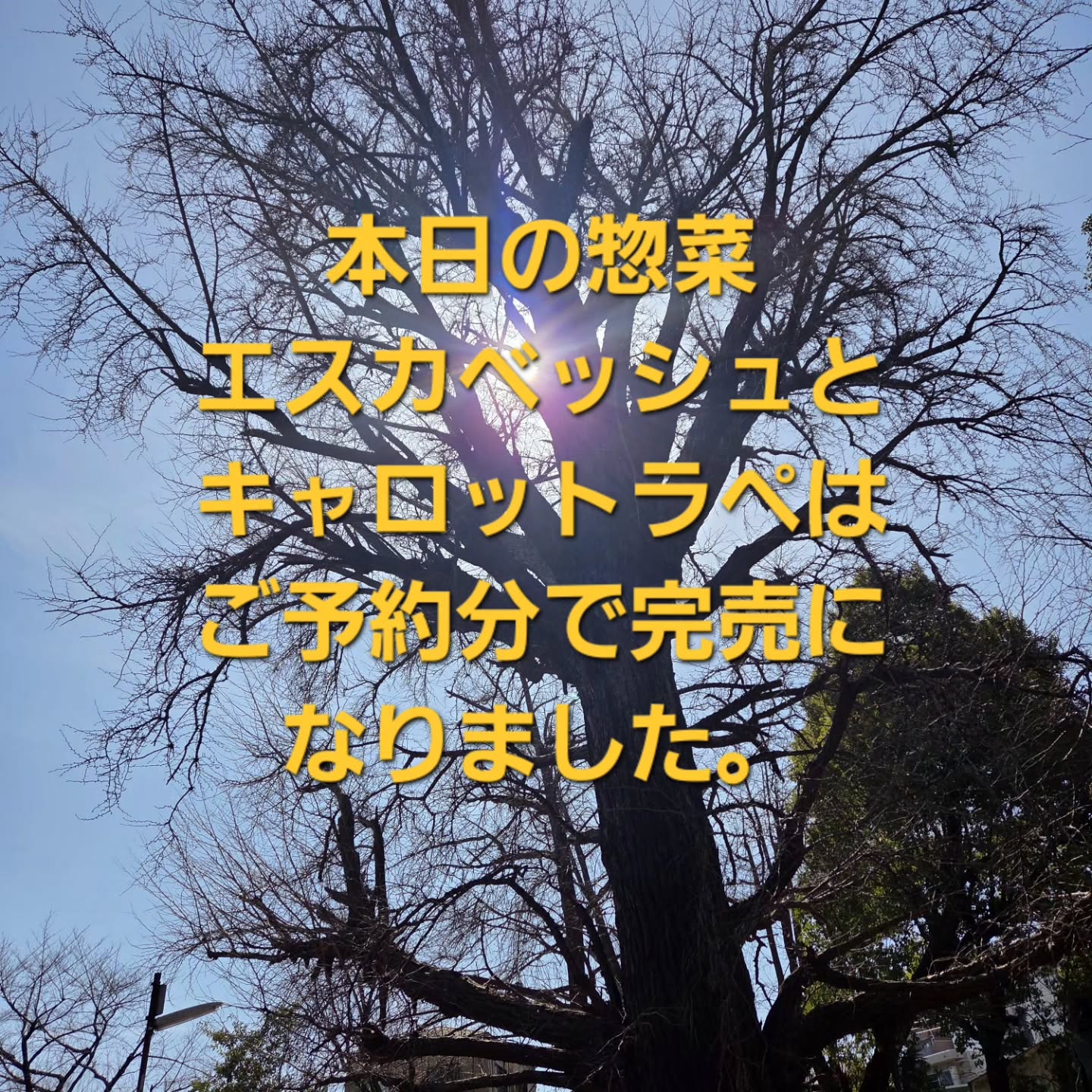 cotatocashi（コタトカシ）