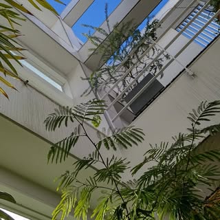 cafe soraniwa（カフェ ソラニワ）