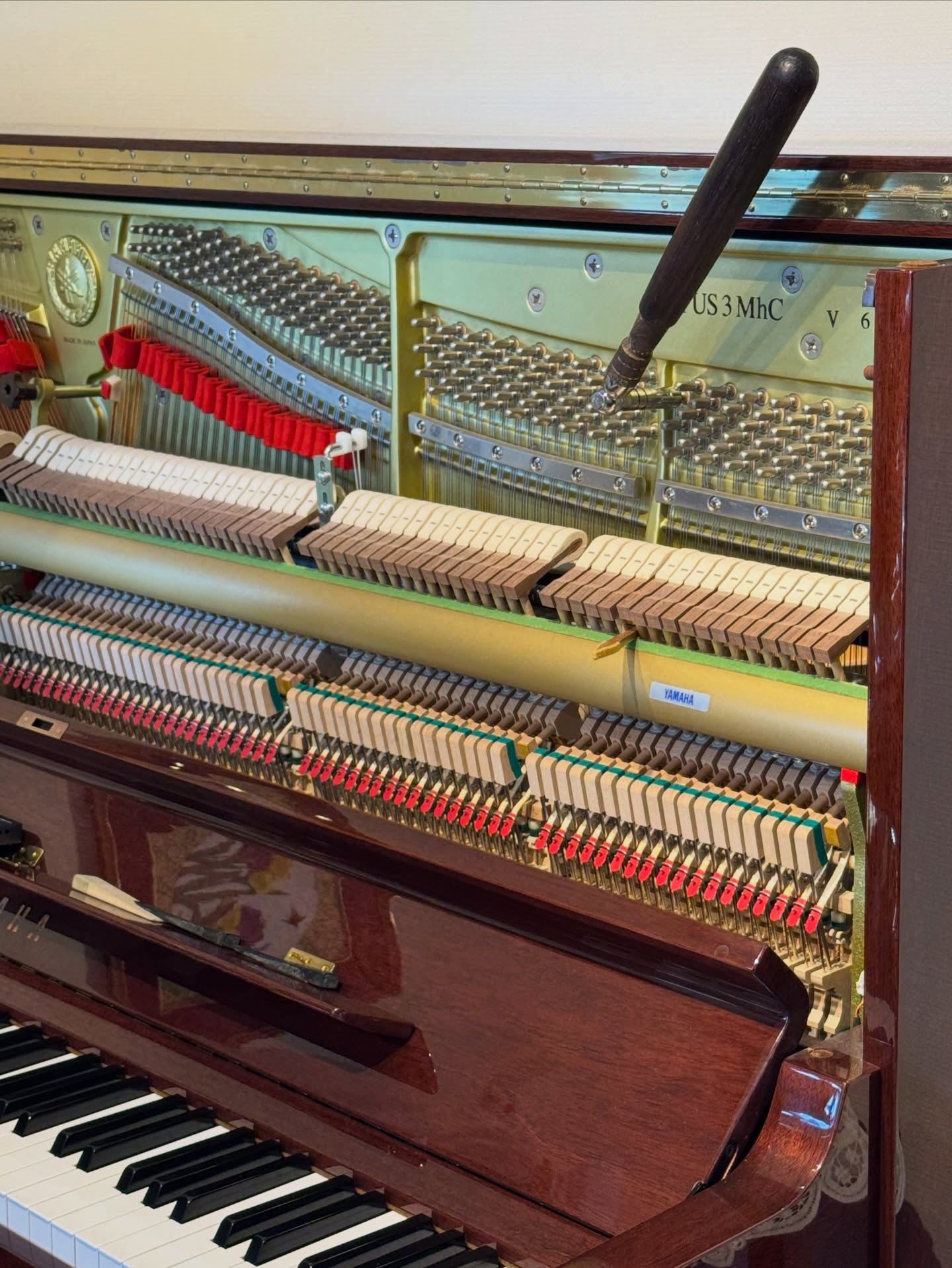 カフェ セレサ（Cafe Cereza）